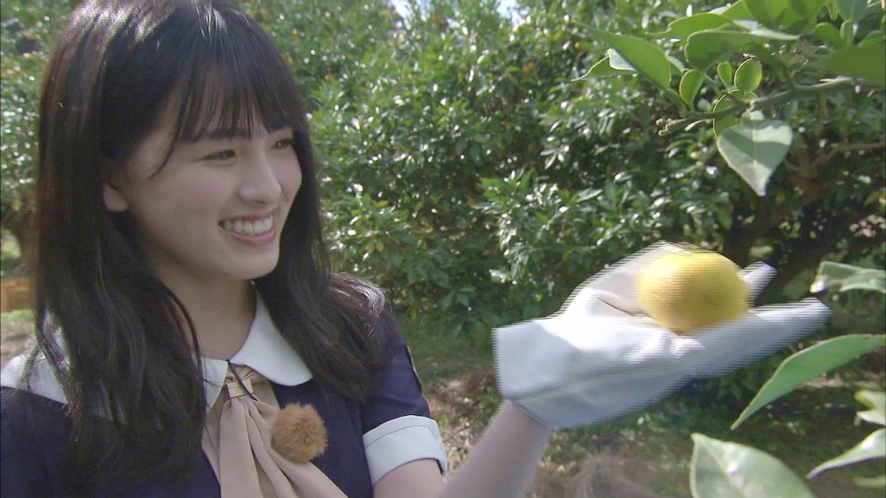 乃木坂46大園桃子さん×曽於市PR動画第2弾ーたわわに実る ゆず畑へー【鹿児島県曽於市特別PR大使】