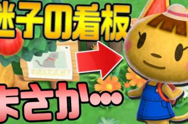 【あつ森】海外で話題の謎の看板･･･迷子の猫ってもしや･･･【あつまれどうぶつの森】