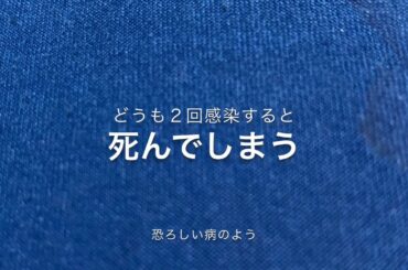 新型コロナウィルス感染　２回感染すると死んでしまう　本当ですか？　　#新型コロナウィルス　　#抗体依存症感染増強現象　#Antibody-dependent enhancement