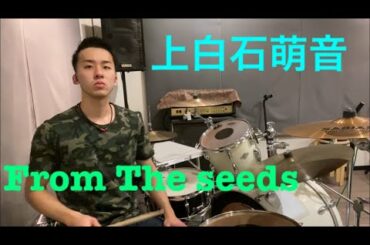 上白石萌音 From The Seeds ドラム kamishiraishi mone Dr