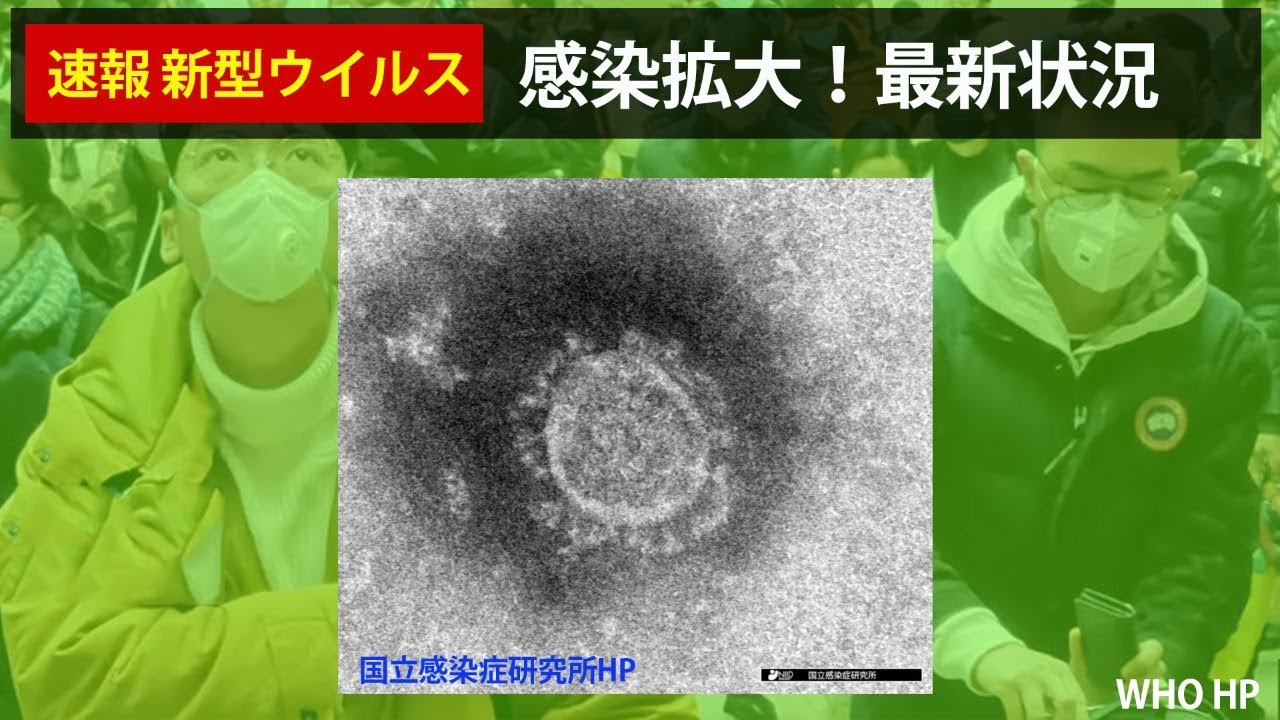 【速報  新型ウイルス  】北海道で新たに12人感染  北海道知事 道民に「緊急事態宣言」 外出控えるよう呼びかけ