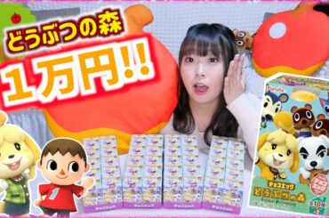 【１万円】どうぶつの森チョコエッグを１万円分大人買いでコンプリート!?!?
