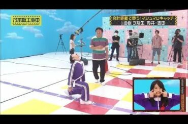 【 乃木坂工事中2020 】合計距離で競う！マシュマロキャッチ