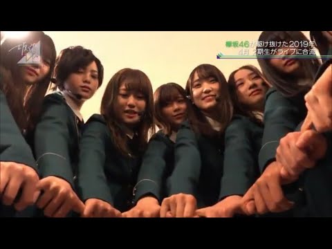 欅坂46「坂道テレビ “駆け抜けた2019年”」