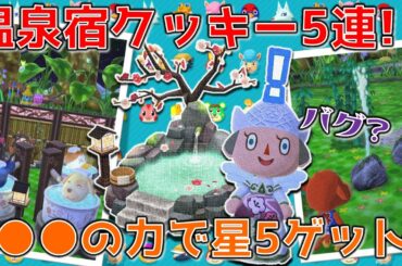【ポケ森】温泉宿クッキー5連！星5家具をゲットする方法は●●しかない…【どうぶつの森ポケットキャンプ】