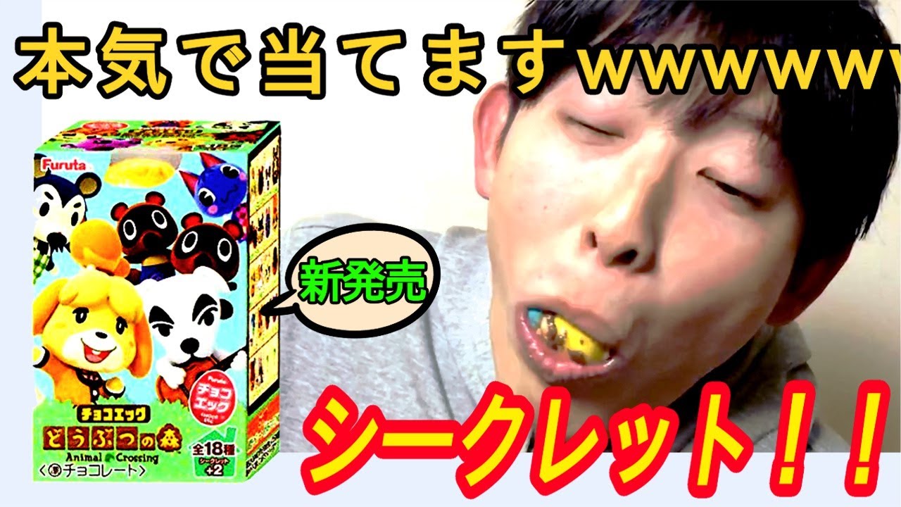 【閲覧注意】あつまれどうぶつの森チョコエッグ【まさかの結果にw】