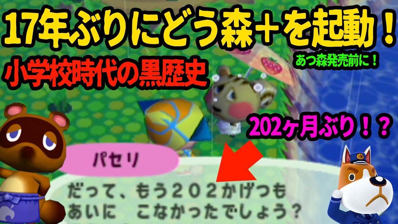 17年ぶりにどうぶつの森＋を起動したらキッズ時代の黒歴史が出てきた件【どうぶつの森＋】