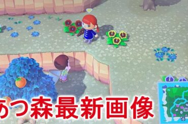 あつ森の最新画像で判明した過去作からの進化がすごい！【あつまれどうぶつの森】