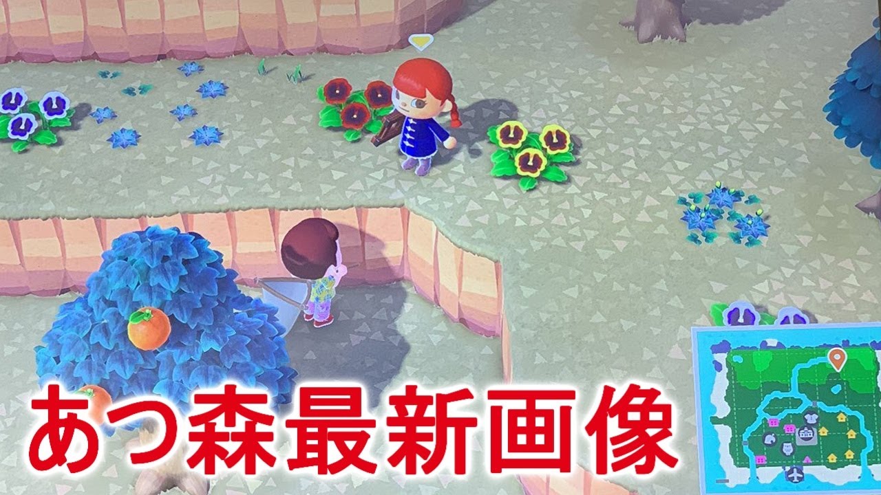 あつ森の最新画像で判明した過去作からの進化がすごい!【あつまれどうぶつの森】 あつ森の最新画像で判明した過去作からの進化がすごい!【あつまれどうぶつの森】