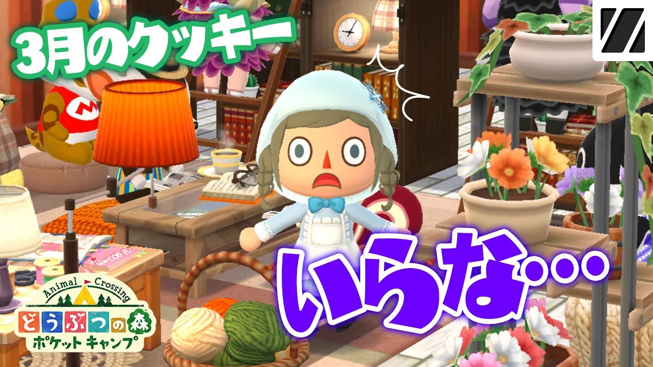 【ポケ森】まさかの結果に心の声が…笑 3月のクッキーと最近のコテージ紹介【どうぶつの森】 【ポケ森】まさかの結果に心の声が…笑 3月のクッキーと最近のコテージ紹介【どうぶつの森】