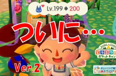 【ポケ森】ついにこの日が…Ver.2【どうぶつの森ポケットキャンプ】#560 無課金