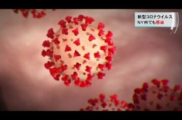 新型コロナウイルス NY州でも感染増 市内で警戒
