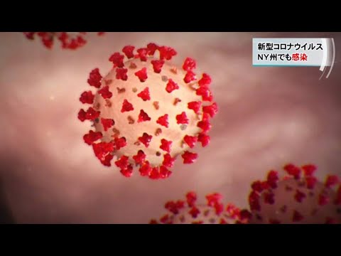 新型コロナウイルス NY州でも感染増 市内で警戒 新型コロナウイルス NY州でも感染増 市内で警戒