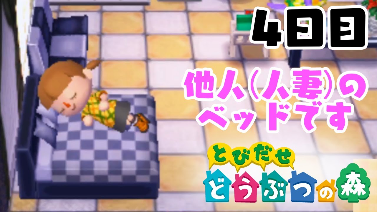 【とびだせ どうぶつの森】訳アリ人妻の昼下がり 4日目【実況プレイ】
