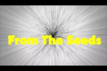 【そこそこ上手い】From The Seeds　上白石萌音　　Cover