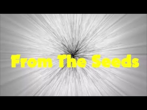 【そこそこ上手い】From The Seeds 上白石萌音 Cover 【そこそこ上手い】From The Seeds 上白石萌音 Cover