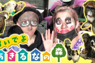 多頭飼いの家で【どうぶつの森】やってみた‼︎【腹筋崩壊w】~Nintendo~