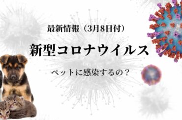 【最新版・獣医が解説】新型コロナウイルスはペットに感染するのか？最新情報まとめ
