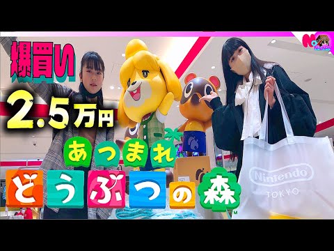 あつまれ どうぶつの森？任天堂ショップで姉妹2.5万円の爆買い（渋谷パルコ）購入品紹介【のえのん番組】