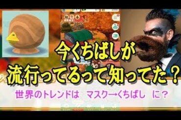 どうぶつの森で大流行中のアイテム「くちばし」を紹介！？