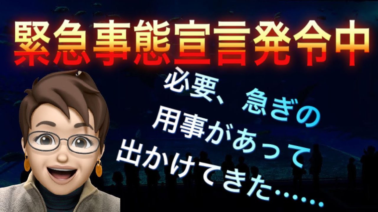 【緊急事態宣言】やっぱり、お店も休みで、昼の地下鉄もこの通り・・・
