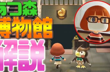 あつ森の博物館を館内MAPを使って超詳しく解説する‼【あつまれどうぶつの森】