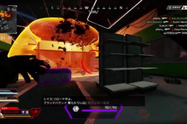 【APEX】プラチナ目指す配信者【本田翼さん待ち】【クリーンな配信者】【高画質配信】