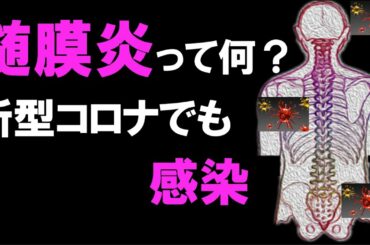髄膜炎とは何か解説！新型コロナウイルスでも感染。原因、症状、治療、後遺症など【5分で解説】