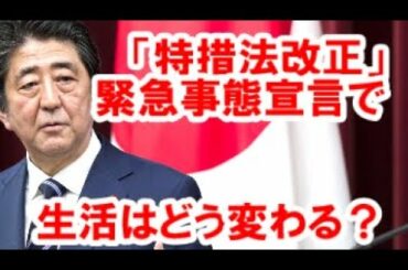 【新型コロナ】特措法改正で注目される「緊急事態宣言」で生活はどう変わるか！？【日本-その小さき巨人】
