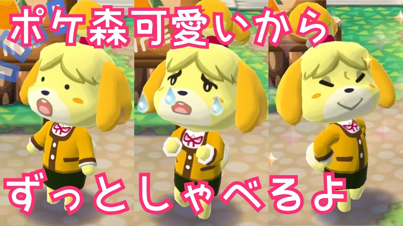 【ポケ森】どうぶつの森‼︎初めてやりまする。【あつまれどうぶつの森】待ち‼︎
