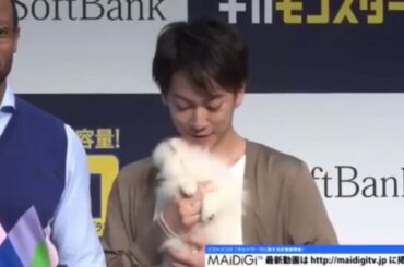 【佐藤健  砂糖  】猩猩 猫猫 狗狗 小鸡？ 与动物们的互动