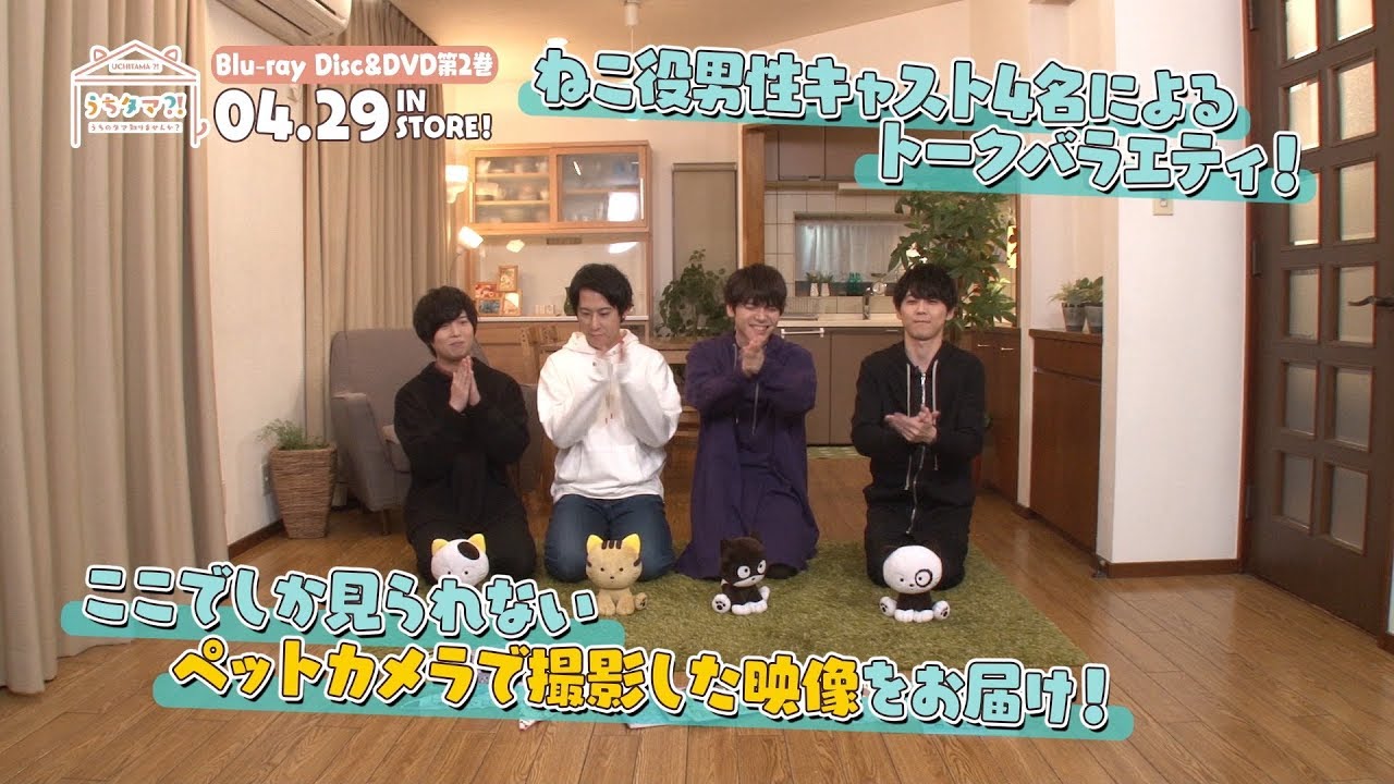 TVアニメ「うちタマ⁈ ~うちのタマ知りませんか?~」 Blu-ray&DVD2巻特典 キャスト座談会「うちタマ?! ~うちのタマになってみませんか?~」PV TVアニメ「うちタマ⁈ ~うちのタマ知りませんか?~」 Blu-ray&DVD2巻特典 キャスト座談会「うちタマ?! ~うちのタマになってみませんか?~」PV