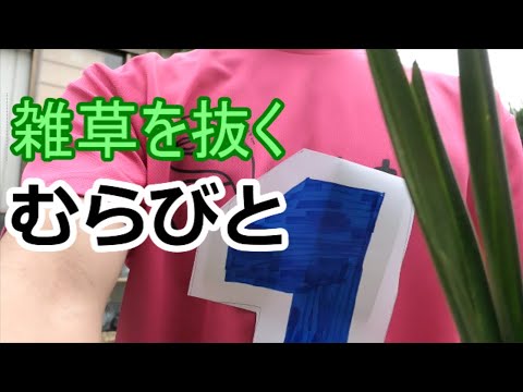 雑草を抜くむらびと       どうぶつの森