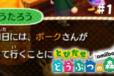 本当の極悪人は身近にいました【とびだせどうぶつの森 #11】