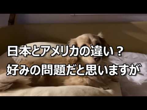 時事ニュース『トランプ氏、新型コロナウイルスで非常事態宣言。新型肺炎・コロナウイルス関連』20200314