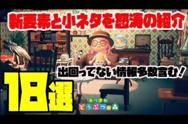 【あつ森】誰も気づかない意外な新要素と未公開情報含む小ネタ･･･怒涛の18選！【あつまれどうぶつの森】