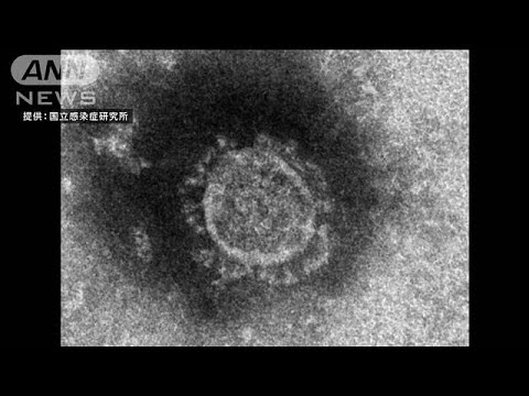 “新型コロナ”高齢女性死亡　全国で感染者756人に(20/03/15)