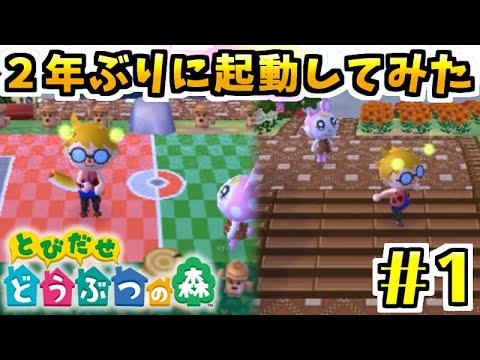 【とび森】学生生活を捧げた「とびだせ どうぶつの森」を２年ぶりに起動してみた　#1【あつ森予習】