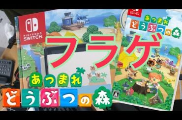 【あつまれ どうぶつの森】ついにフライングゲット！！日本最速開封&プレイ！！