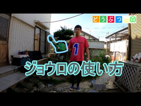 ジョウロの使い方知りたい人【あつまれどうぶつの森】