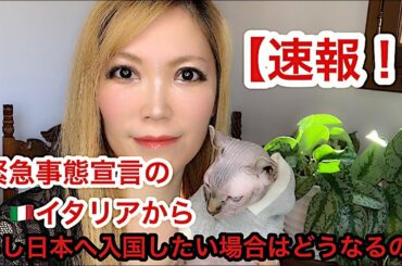 【速報！】緊急事態宣言のイタリア🇮🇹から日本へ入国したい場合はどうなるの？