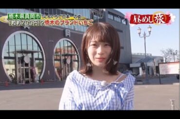 乃木坂46 秋元真夏出演「昼めし旅」美人ネギの豪快肉巻き＆高級イチゴ！1粒800円