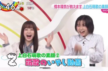 もう付き合っちゃえと思う橋本環奈ちゃんと上白石萌歌ちゃん outro