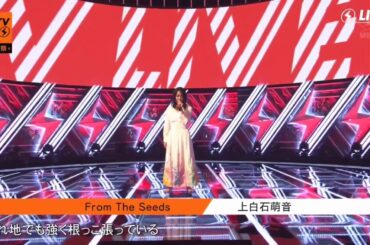 2020.3.16 CDTV 上白石萌音 『From The Seeds』①