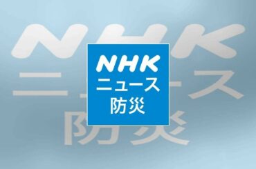 南アフリカ 国家非常事態宣言 イタリアなどからの入国禁止