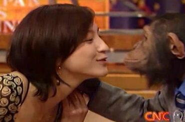 MajiでKoiするチンパンニュース