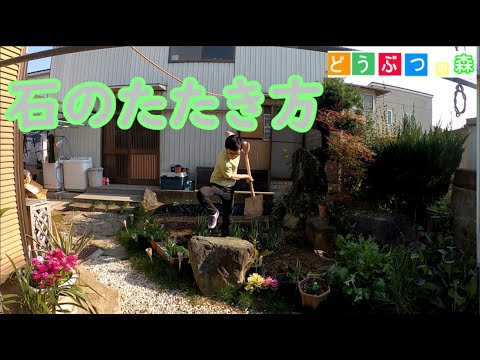 石の叩き方知りたい人【あつまれどうぶつの森】