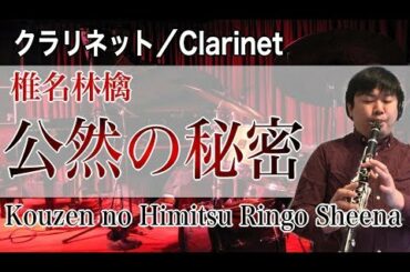 椎名林檎「公然の秘密」をクラリネットで演奏してみた Clarinet Cover Kouzen no Himitsu  - Ringo Sheena