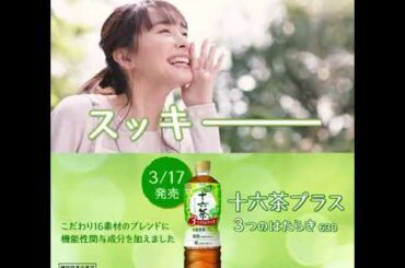 新垣結衣 十六茶プラス 「スッキー」編