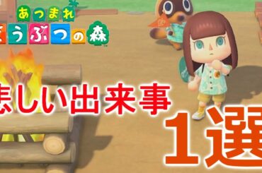 あつ森で個人的に悲しい出来事１選【あつまれどうぶつの森】